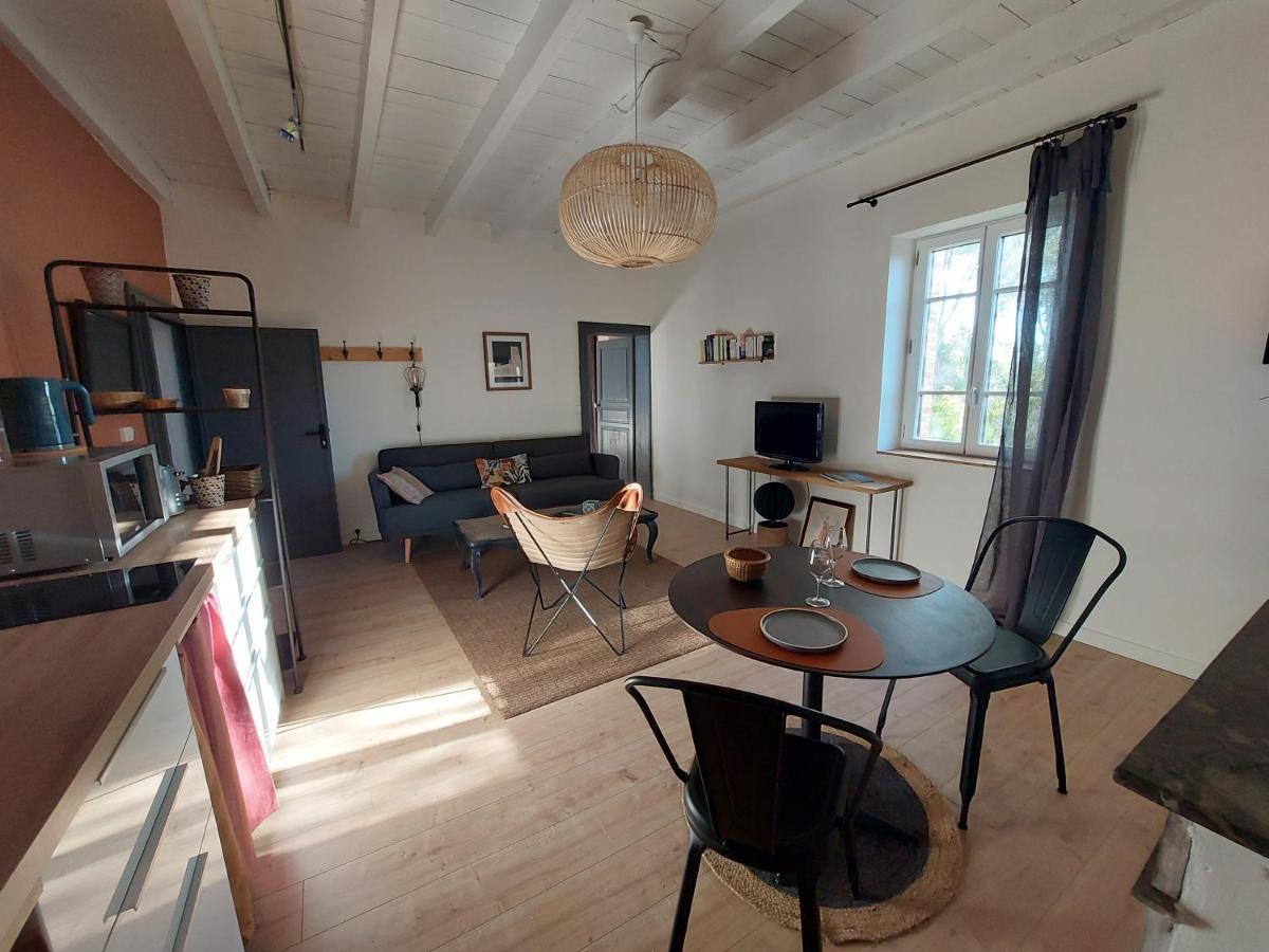 16 Bis-Gite-Hotel-Appartement Marssac-sur-Tarn Dış mekan fotoğraf